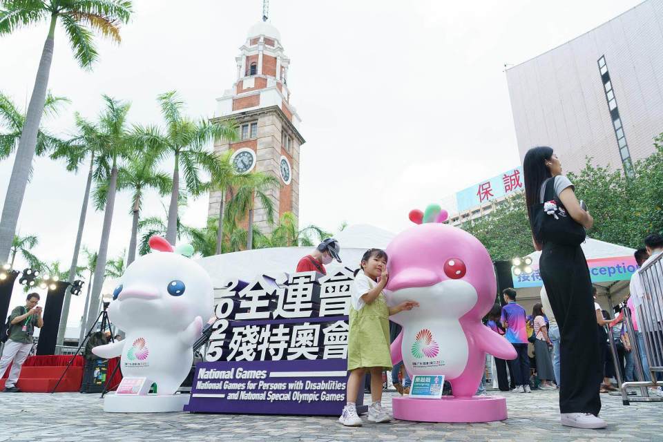 将是对十五, 地政府与技